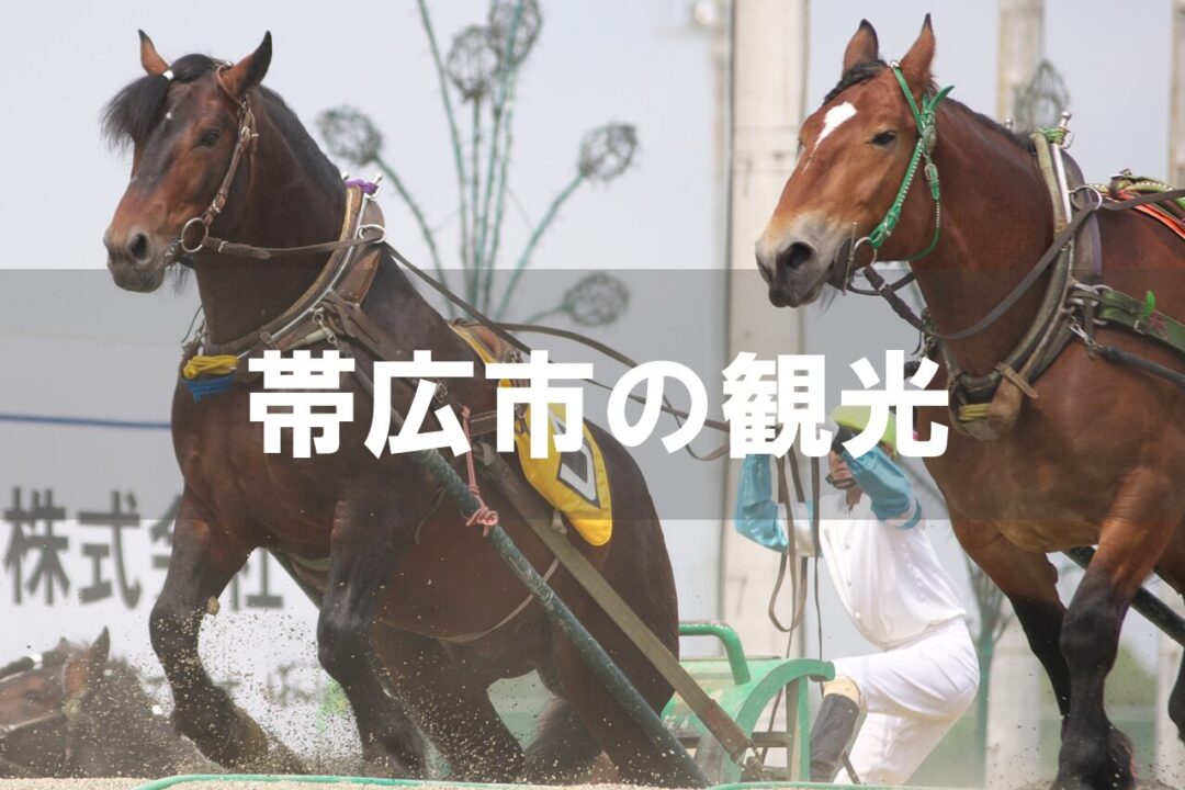 ばんえい競馬