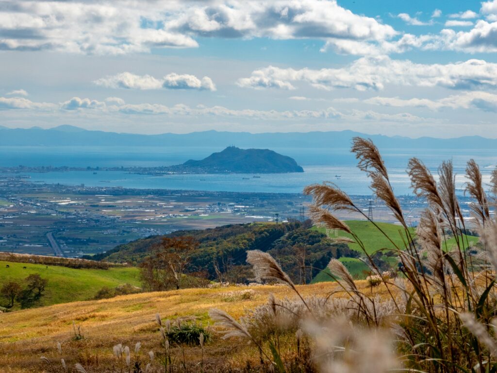 きじひき高原